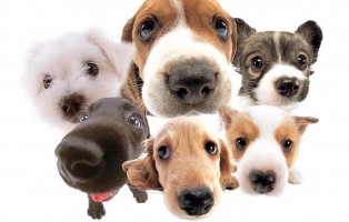 PLEASE! Do your research!