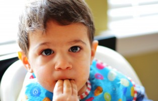 How to Prepare Meat During Your Child’s “Meat-Fickle” Phase