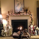 The Circle of Life..