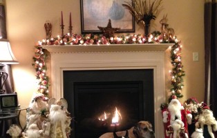 The Circle of Life..