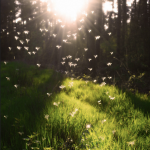 The Weather and Your Mood