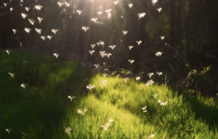 The Weather and Your Mood