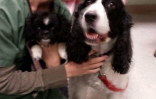 Caring For Animals Isn’t What I Do, It’s Who I Am