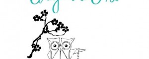 Origami Owl … Worth It or For The Birds ???