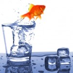 Left Shy Self At Home | WIRL Project