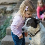 Furbaby | WIRL Project