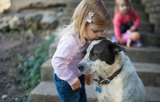 Furbaby | WIRL Project